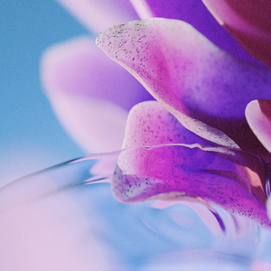 国产诱惑调教视频
