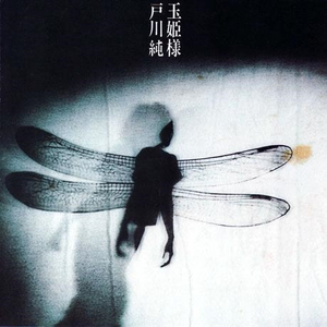 国产诱惑调教视频
