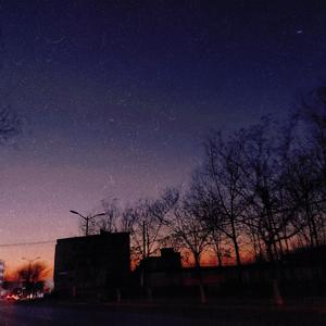 国产诱惑调教视频
