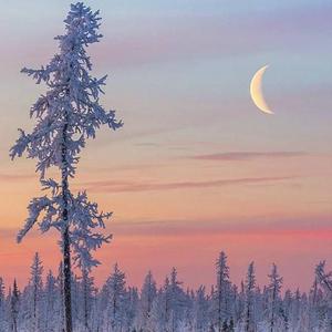 国产诱惑调教视频
